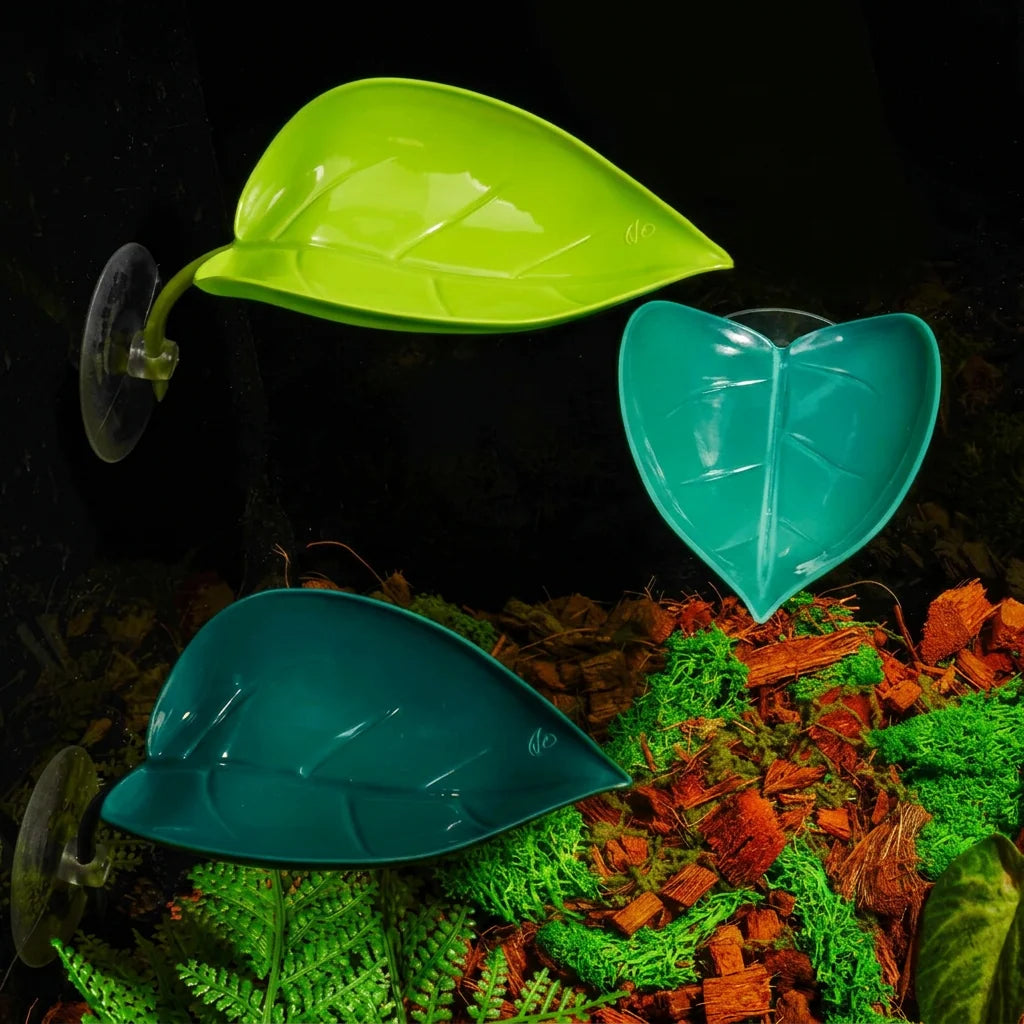 Suction-Cup Leaf Basking Platform & Elevated Perch