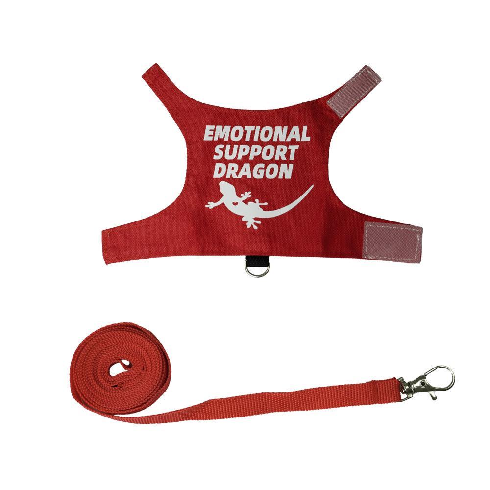 Adjustable Reptile Adventure Vest Harness & Leash Set