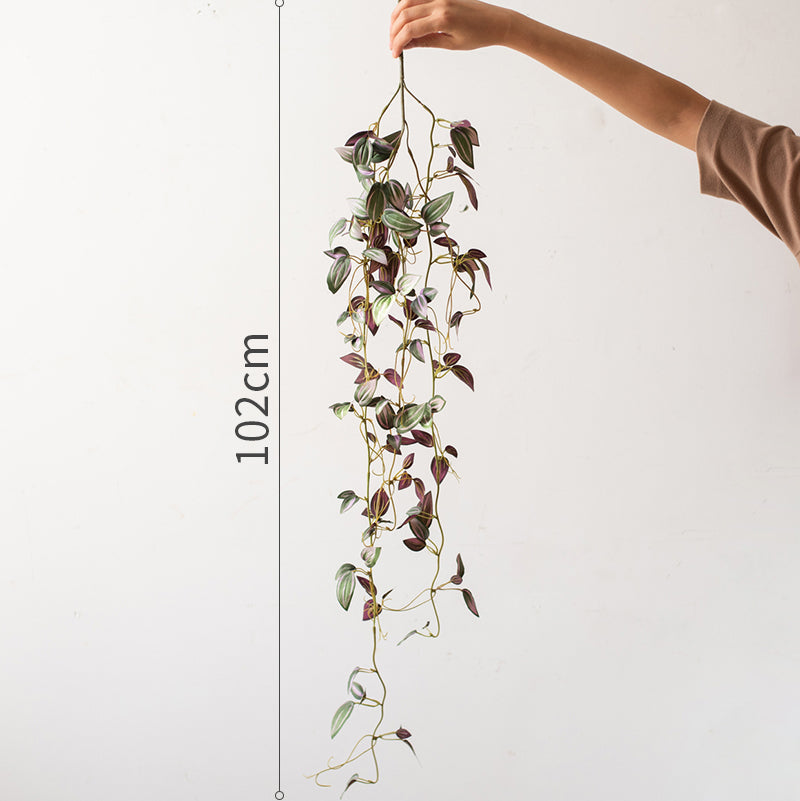 Extra-Long Trailing Tradescantia Vine (40" / 102cm)