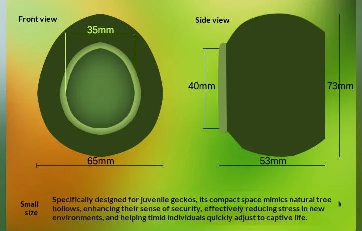 Arboreal Canopy Egg Hide & Elevated Nest