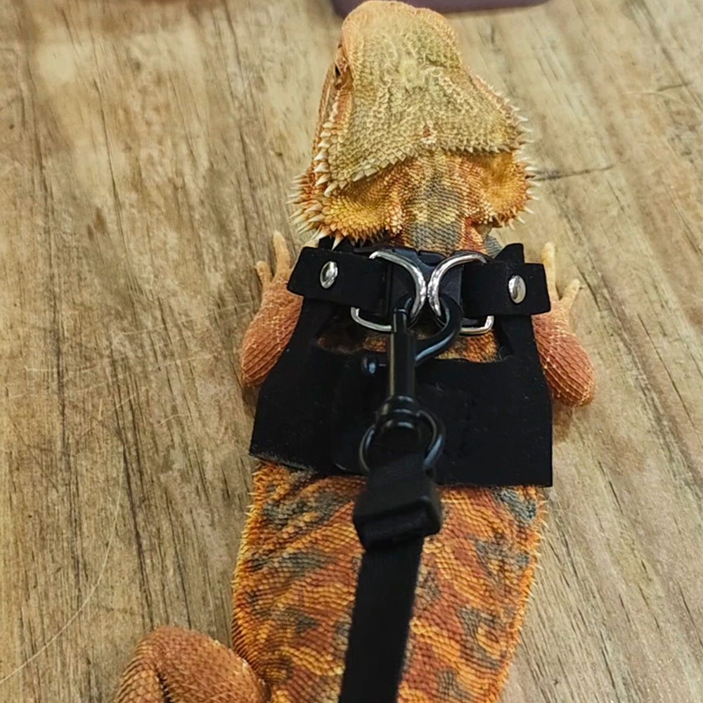 3-Piece Multi-Size Reptile Comfort Vest Harness & Leash Set