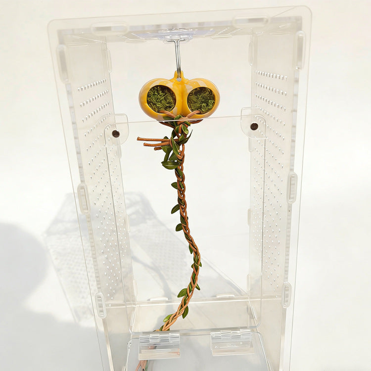 Hanging Canopy Gourd & Pumpkin Hide Kit