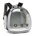 Clear-Bubble Reptile Travel Backpack