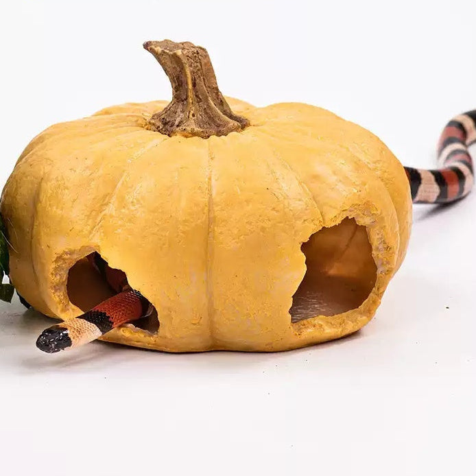 Resin Pumpkin Reptile Hides