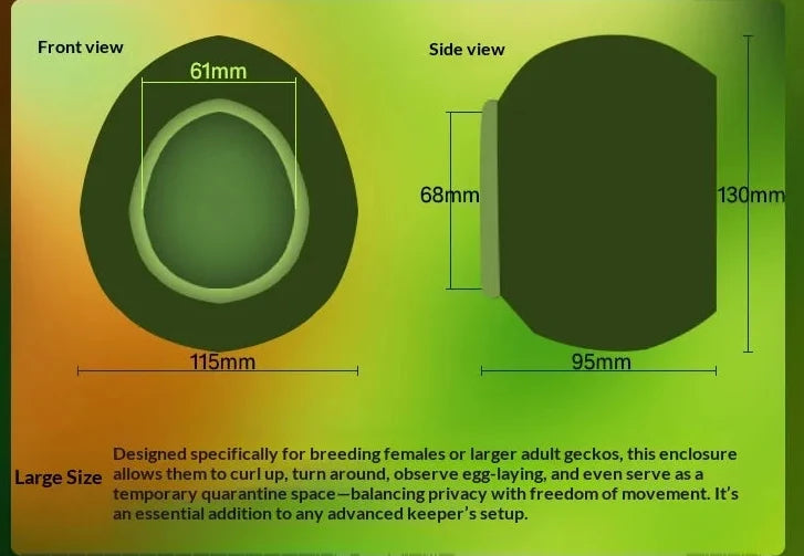 Arboreal Canopy Egg Hide & Elevated Nest