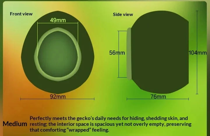 Arboreal Canopy Egg Hide & Elevated Nest