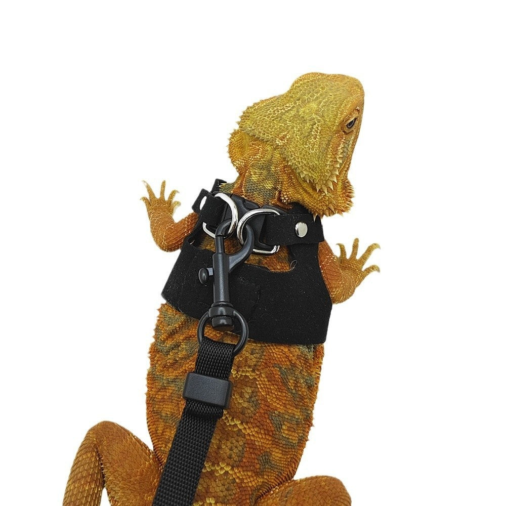 3-Piece Multi-Size Reptile Comfort Vest Harness & Leash Set