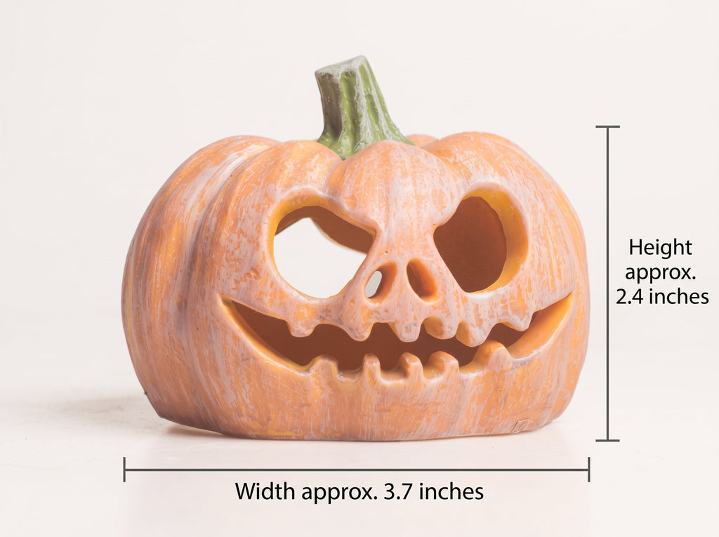 Resin Pumpkin Reptile Hides