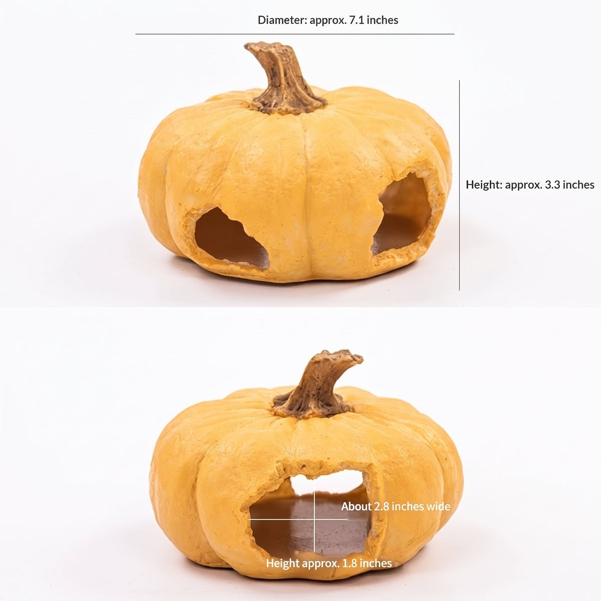 Resin Pumpkin Reptile Hides