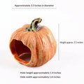 Resin Pumpkin Reptile Hides