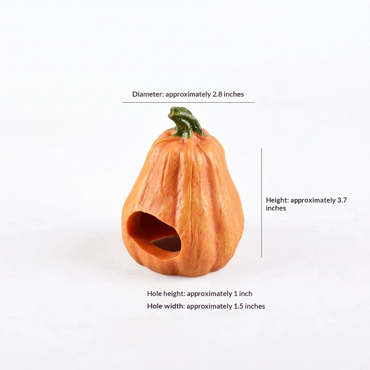 Resin Pumpkin Reptile Hides
