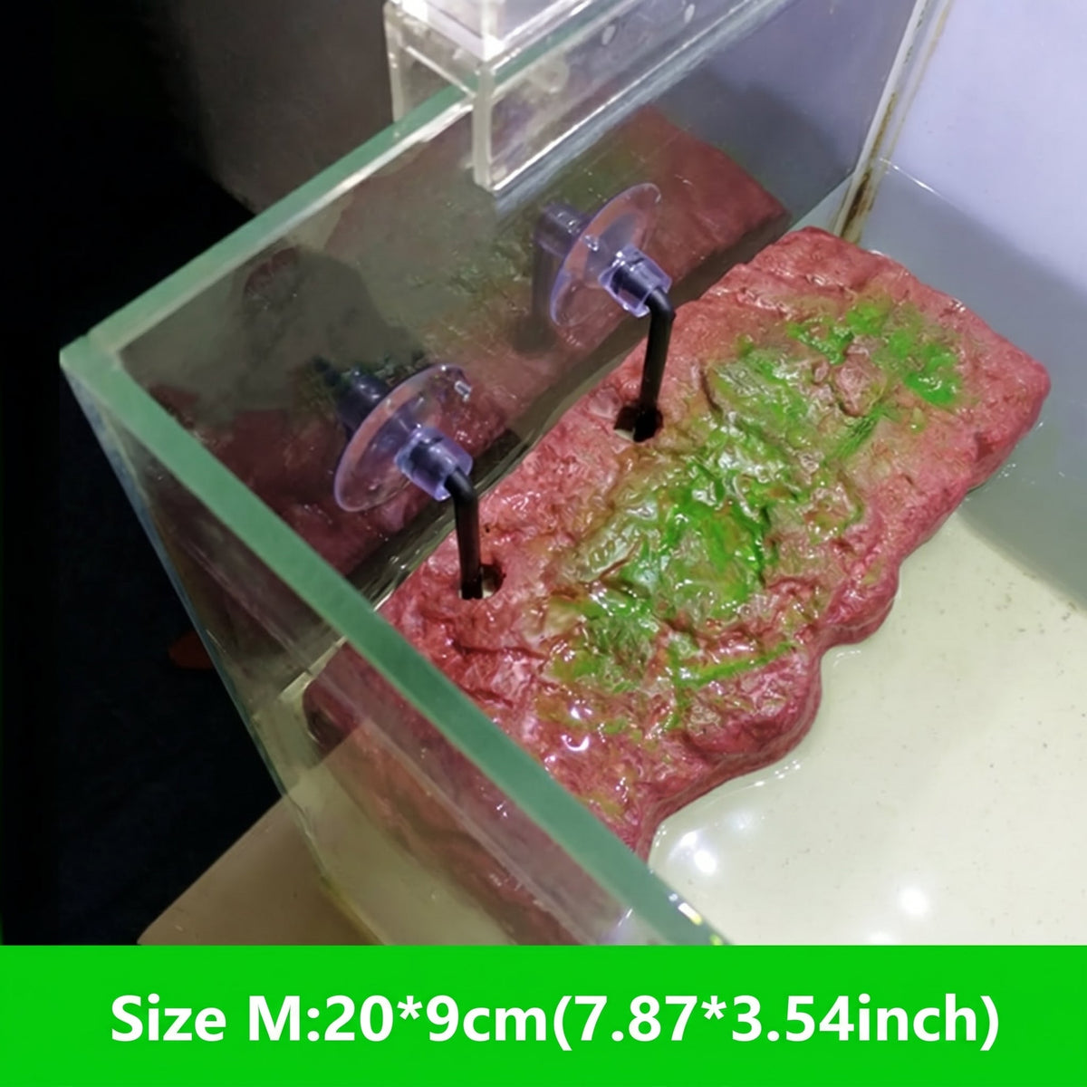 Self-Adjusting Floating Turtle Basking Dock
